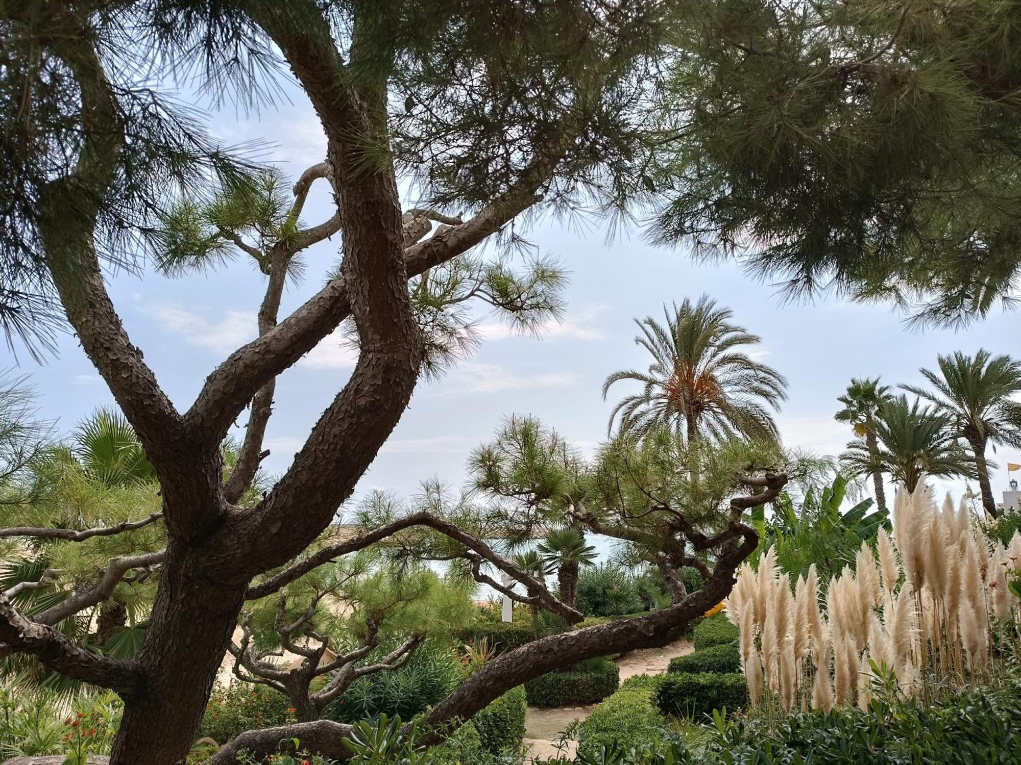 Lluna Beach Bara Roda de Bará Dış mekan fotoğraf